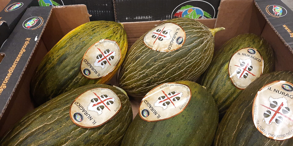 Il melone nuragico verso la presenza fissa in Gdo 